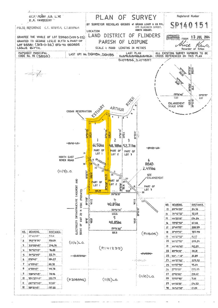 Additional image 13 of Lot 1 North East River Road, Palana TAS 7255