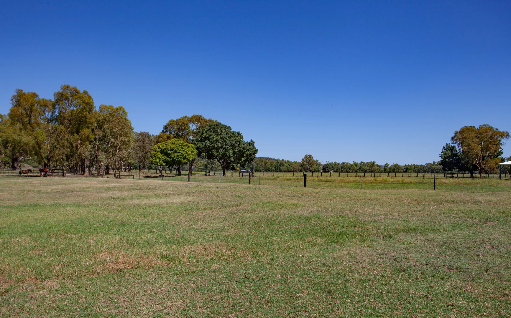 Additional image 16 of 57 Gipps Street, Wellington NSW 2820