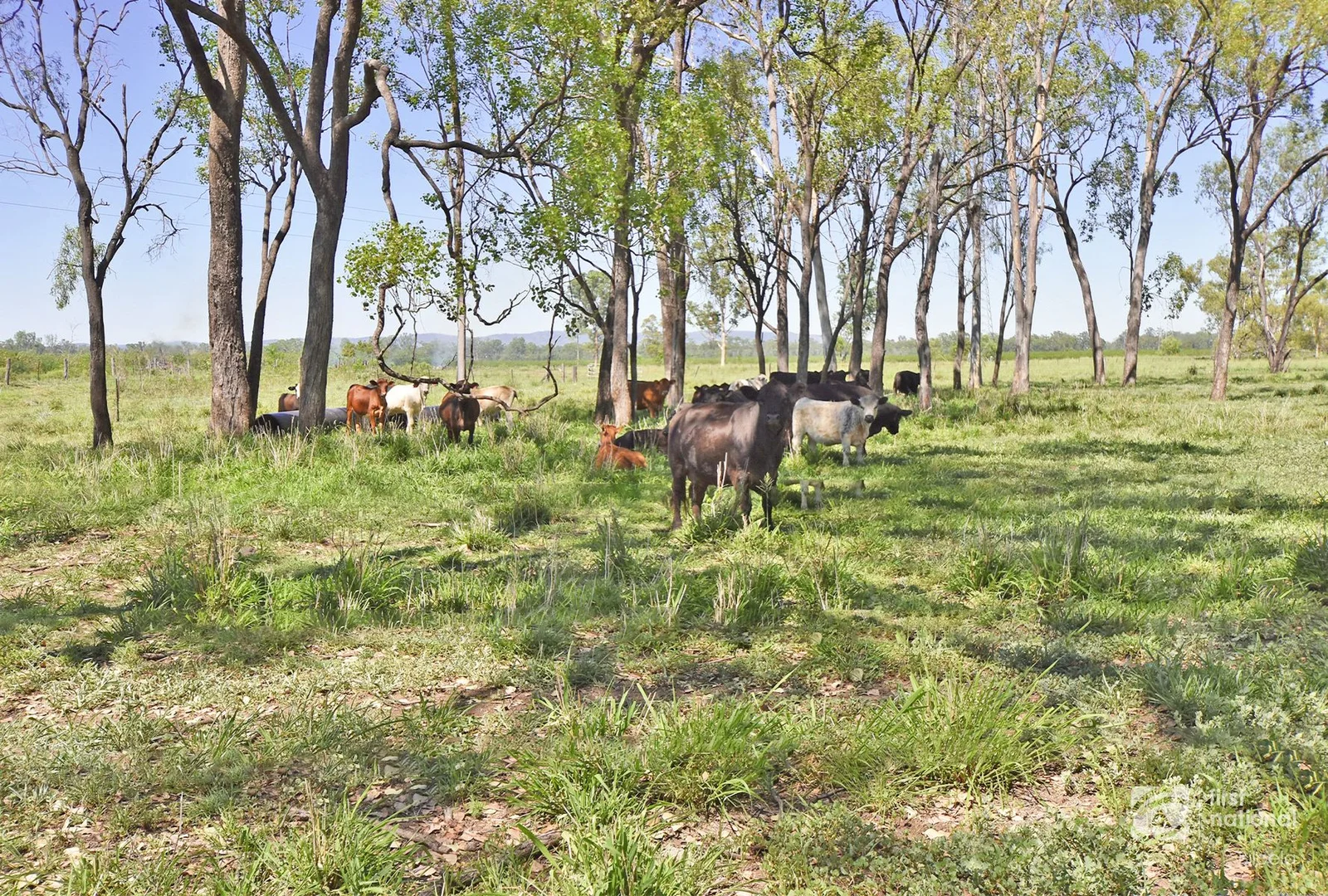 Additional image 21 of Lot 7-8/70 Tan Drive, Biloela QLD 4715