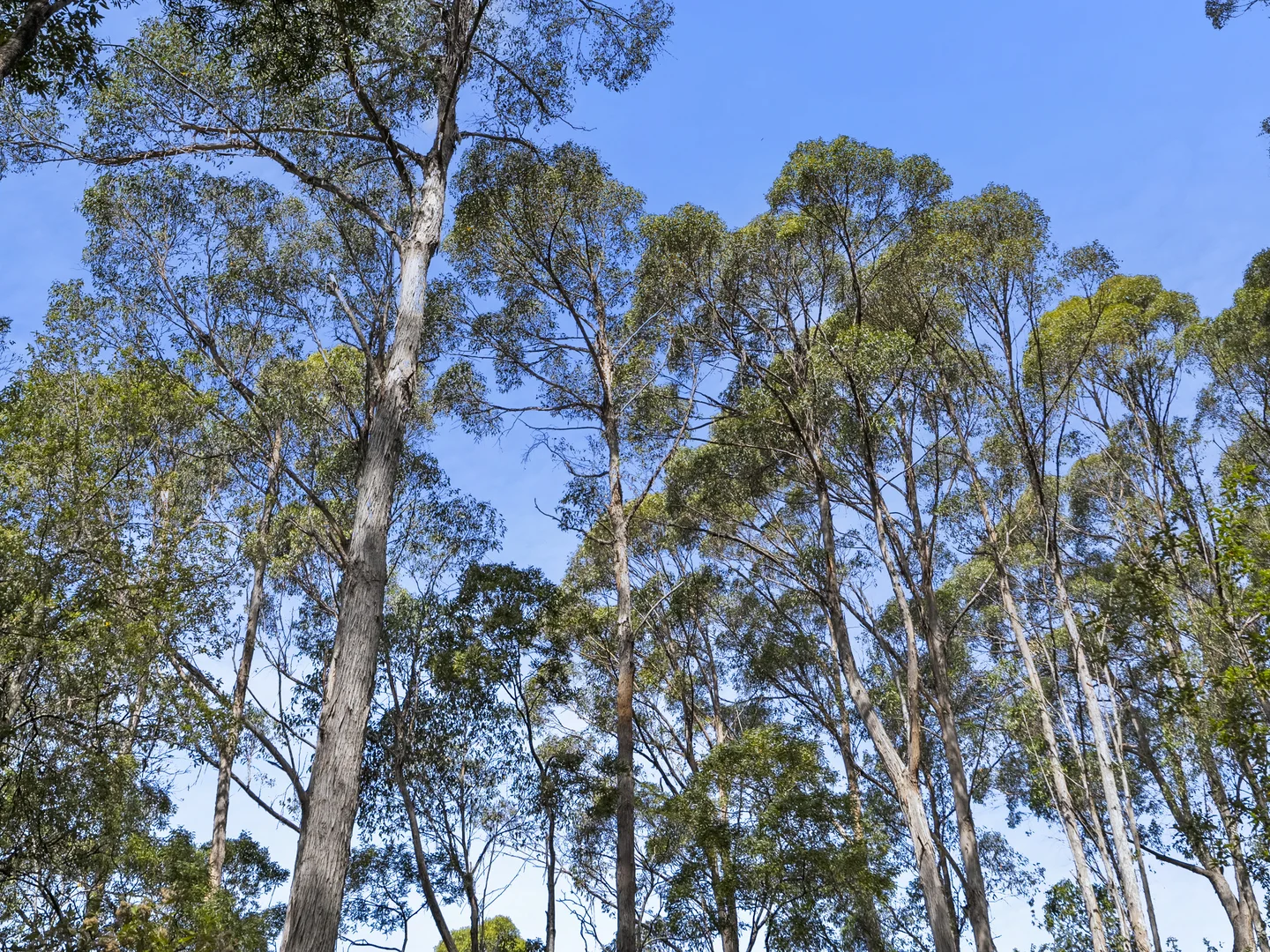 Additional image 37 of 321 Pirates Bay Drive, Eaglehawk Neck TAS 7179