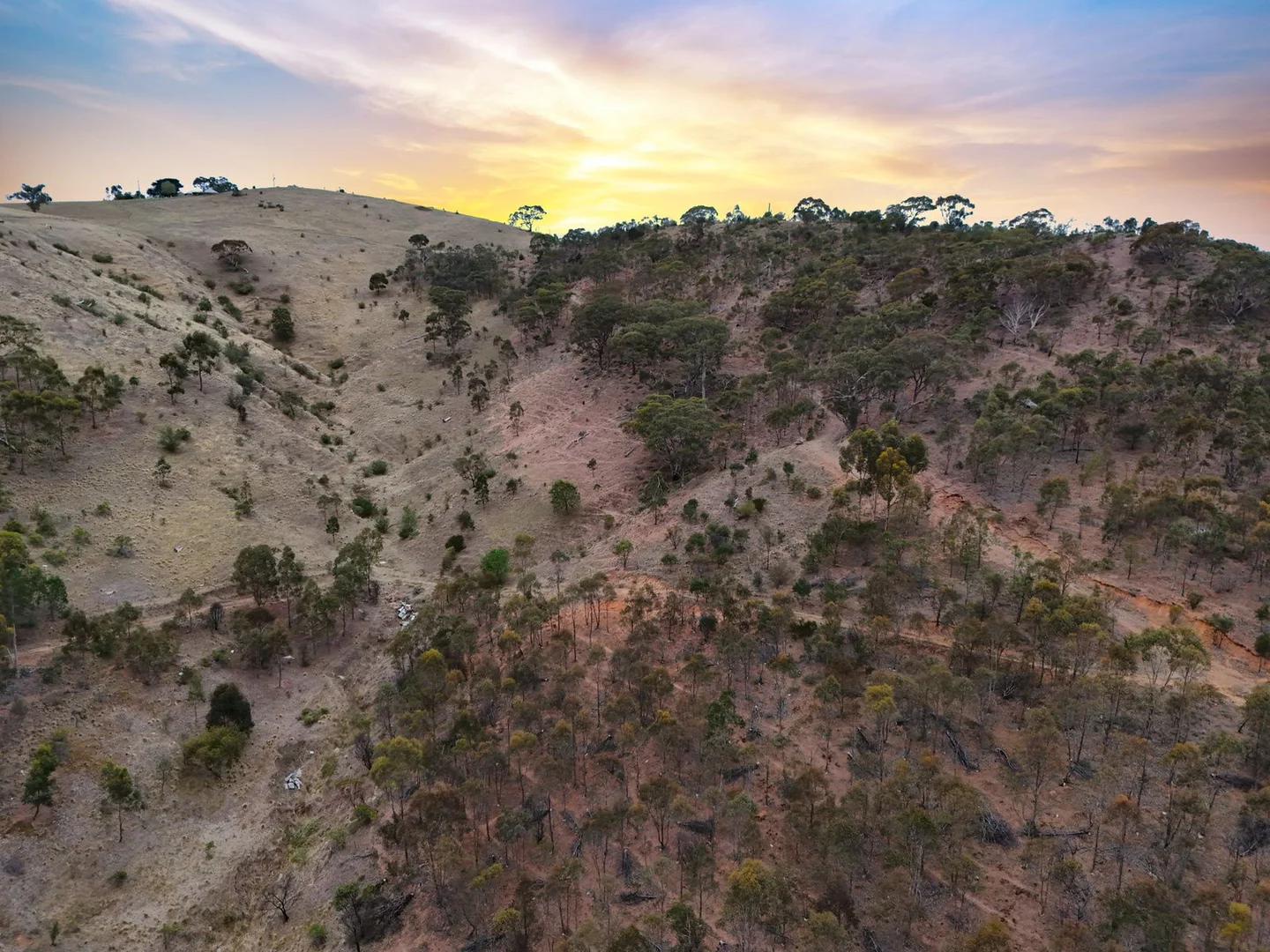 Additional image 59 of 36 Dicksons Road, Pentland Hills VIC 3341