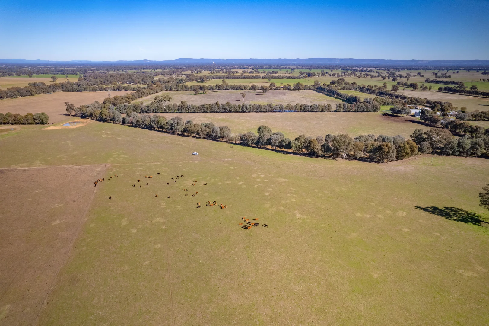 Additional image 10 of 486 Carraragarmungee Estate Road, Byawatha VIC 3678
