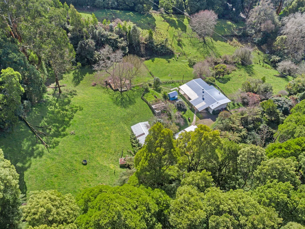 Additional image 18 of 775 Barham River Road, Apollo Bay VIC 3233