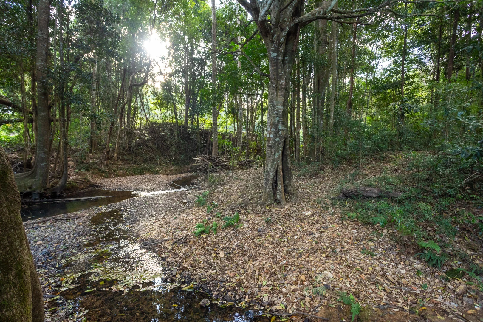 Additional image 11 of 686 Pomona Kin Kin Road, Kin Kin QLD 4571