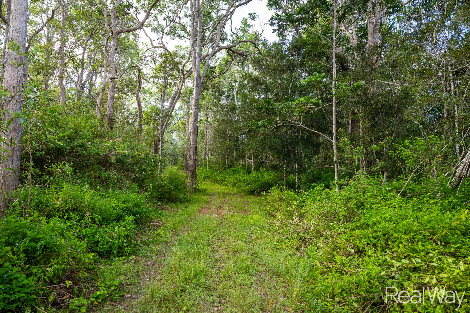 Additional image 21 of 2 Jacksons Road, South Isis QLD 4660