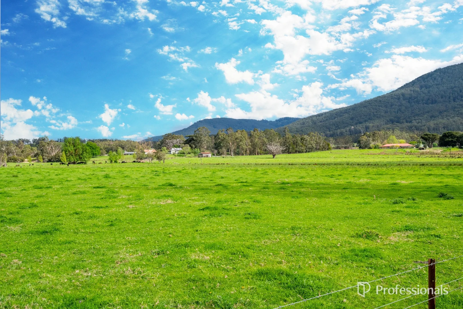 Additional image 40 of 230 Station Road, Wesburn VIC 3799