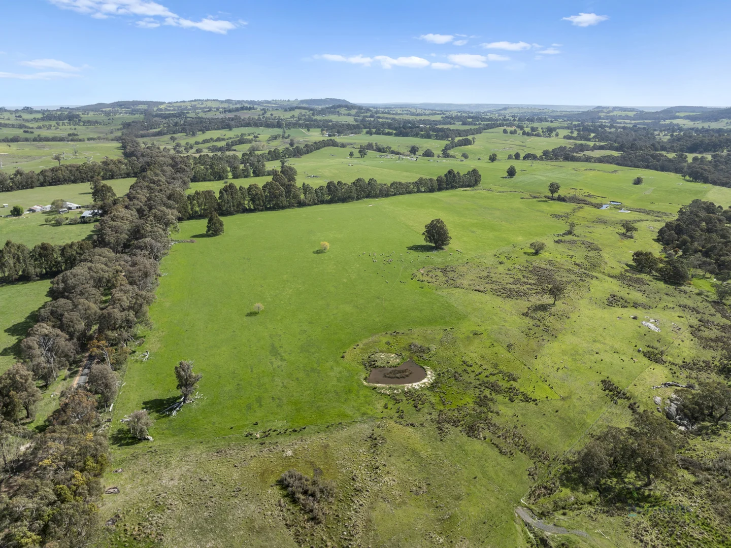 Additional image 4 of 99 Tames Road, Strathbogie VIC 3666