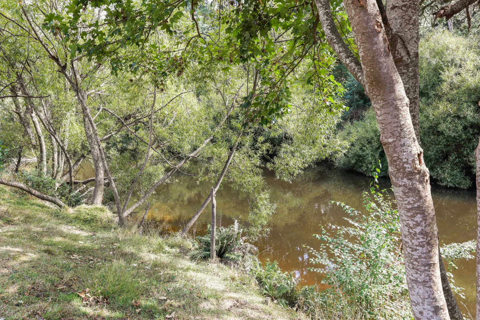 Additional image 20 of 13 Main Street, Derby TAS 7264