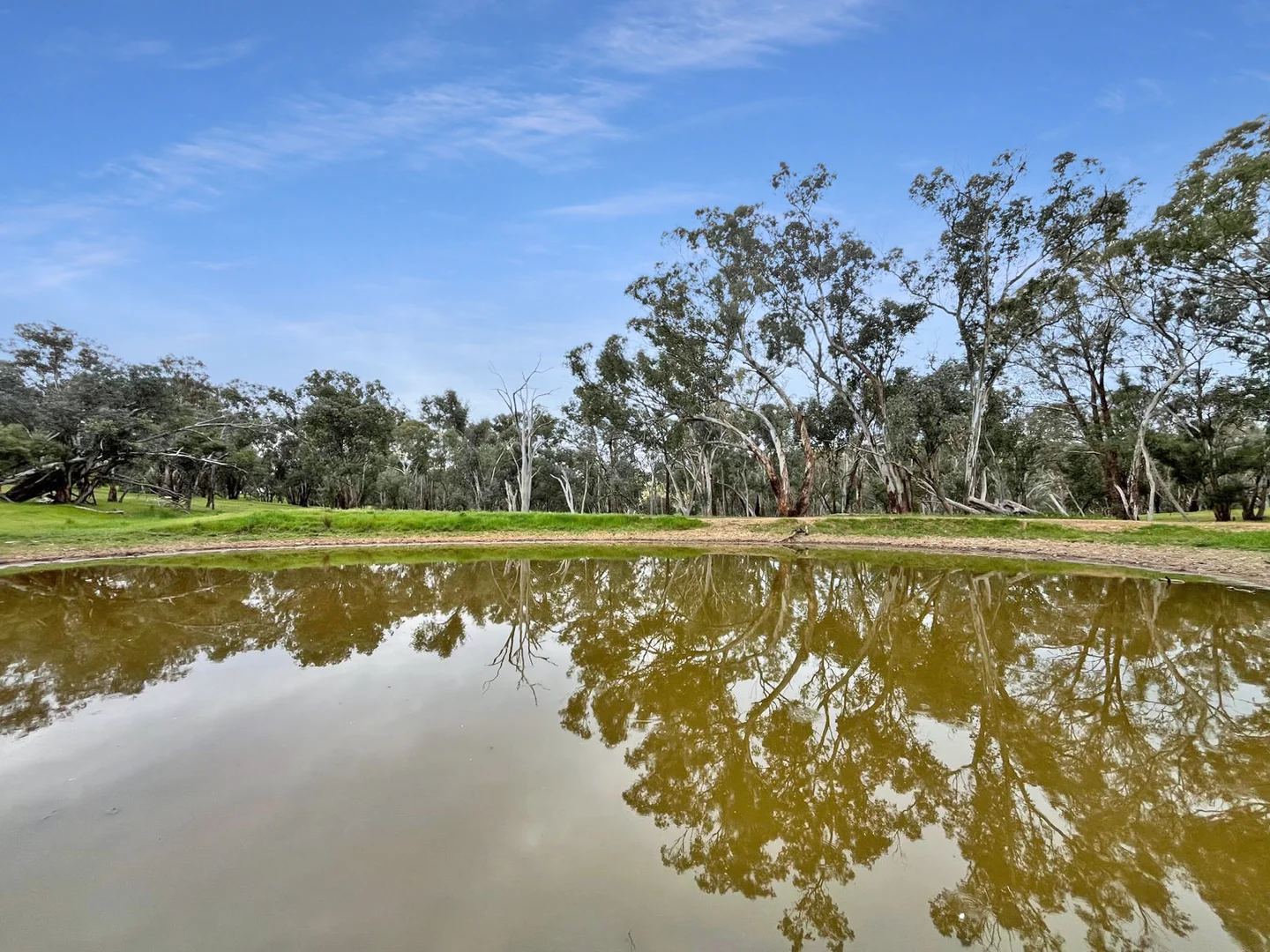 Additional image 19 of 'horse Gully' Old Waugoola Road, Woodstock NSW 2793