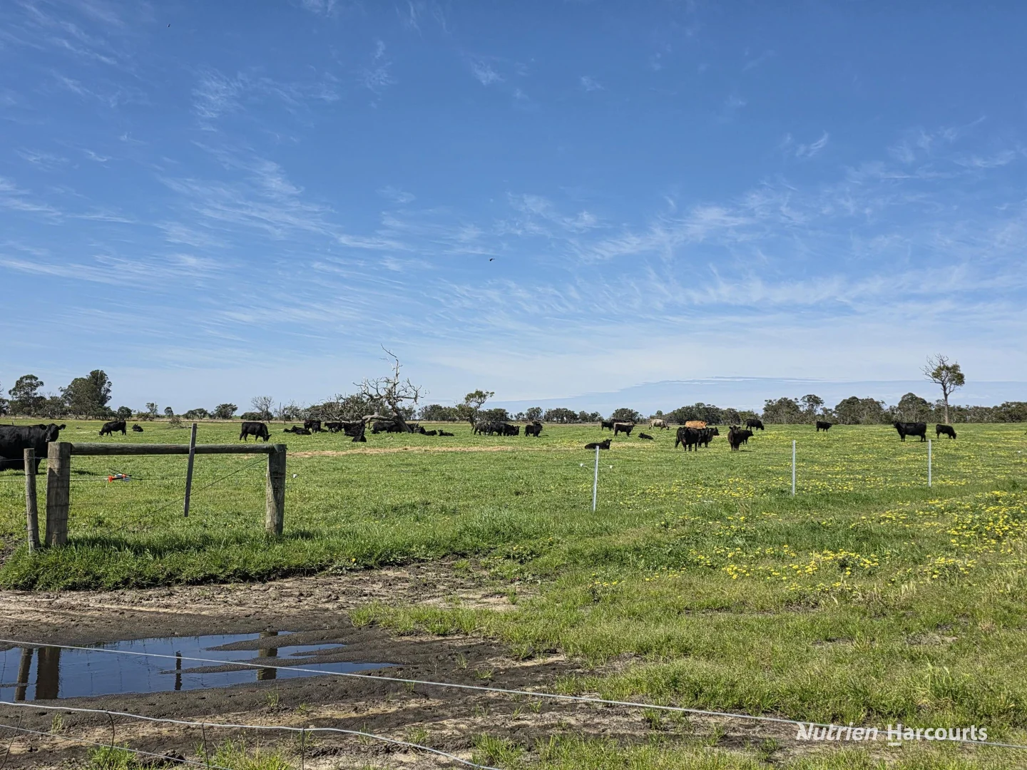 Additional image 4 of 1867 Chester Pass Road, Napier WA 6330