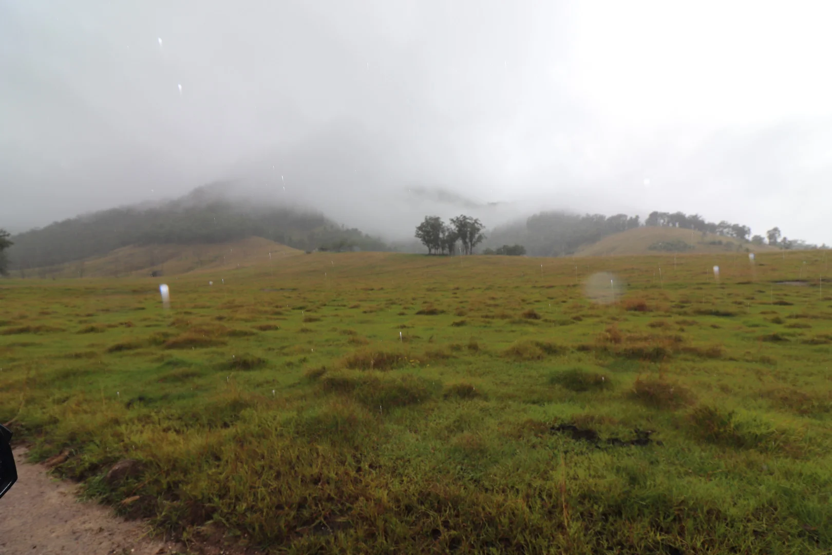 Additional image 27 of 8282 Armidale Road, Lower Creek NSW 2440