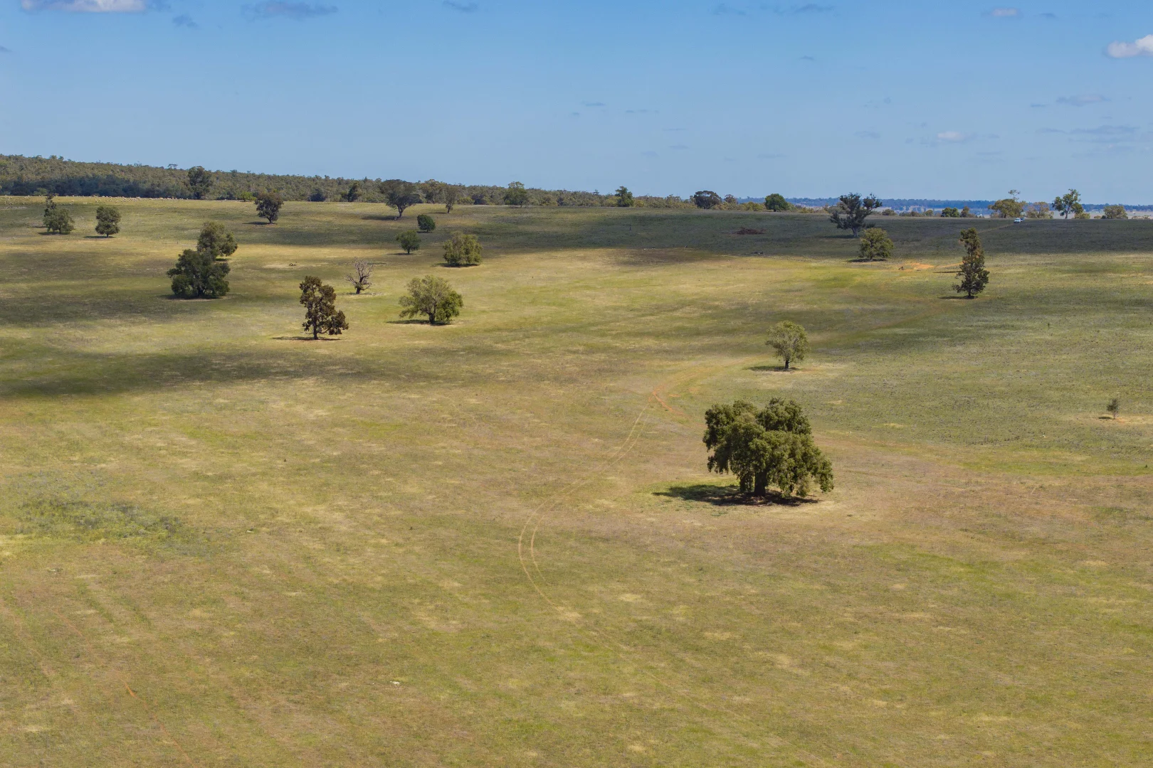 Additional image 11 of 869 Newell Highway, Narrandera NSW 2700