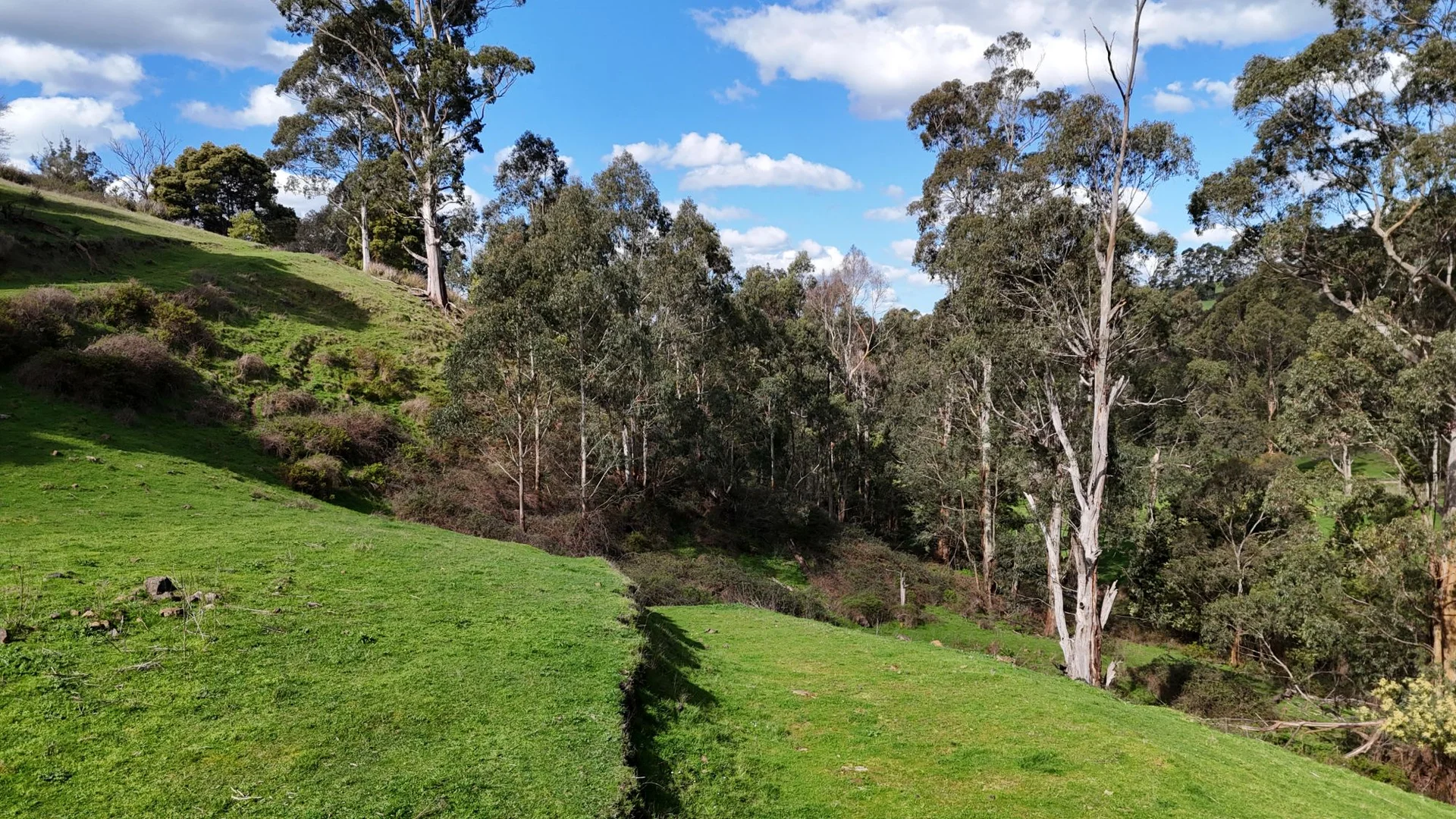 Additional image 28 of 141 BUNDERRA DRIVE, Boolarra VIC 3870