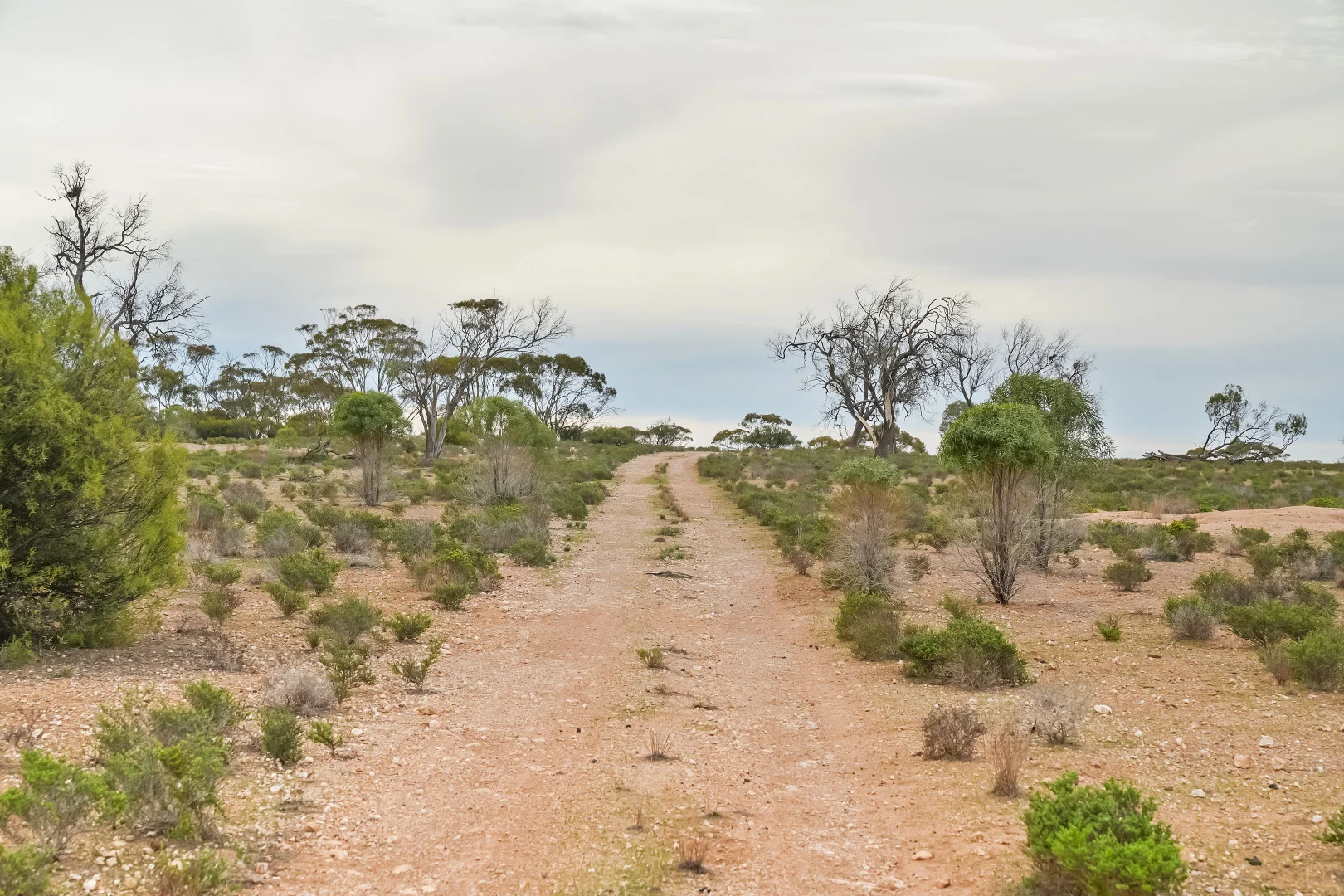 Additional image 8 of 191 Roonka Road, Blanchetown SA 5357