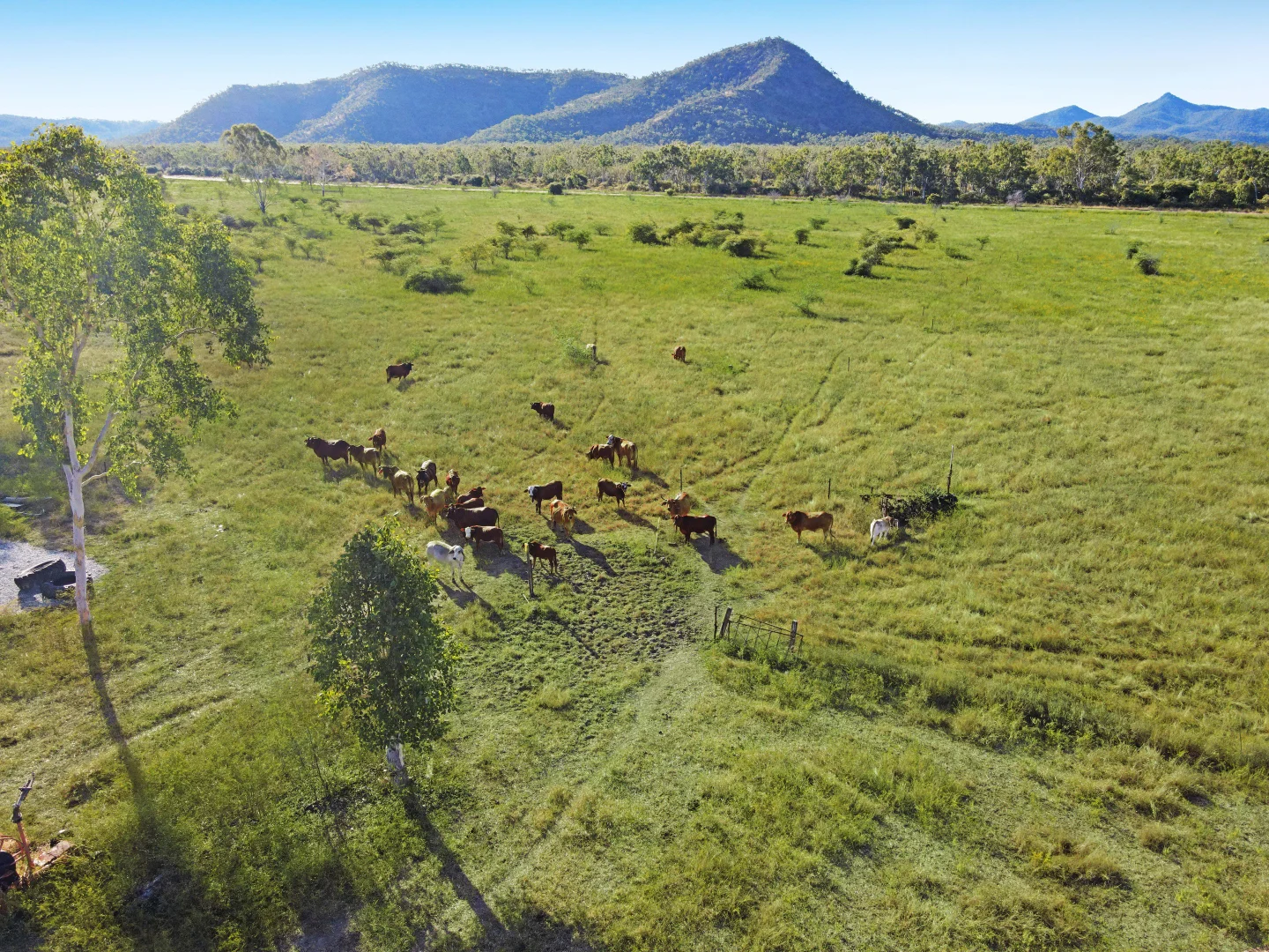 Additional image 2 of 6854 Flinders Highway, Mingela QLD 4816