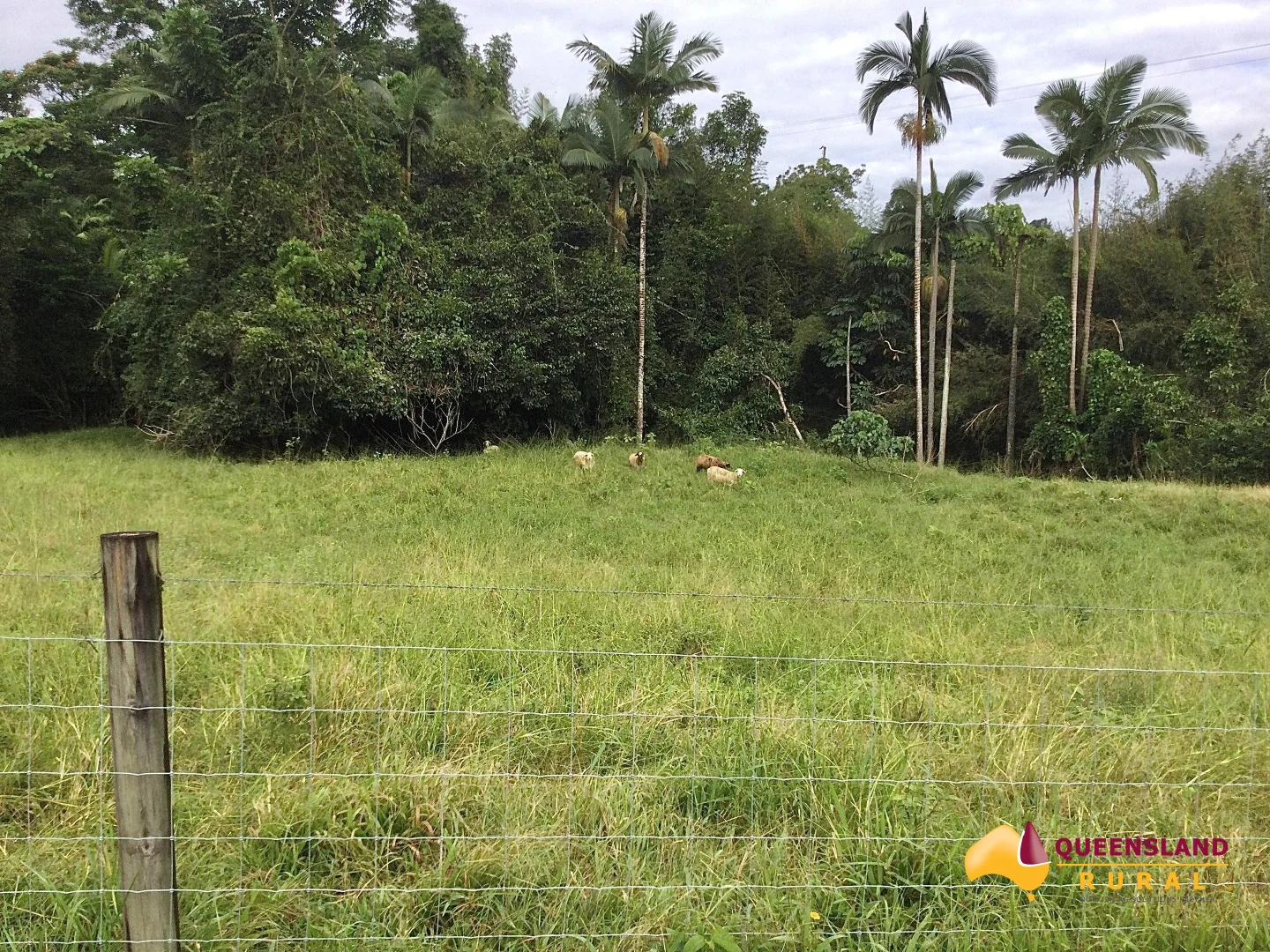 Additional image 7 of Bombeeta QLD 4871