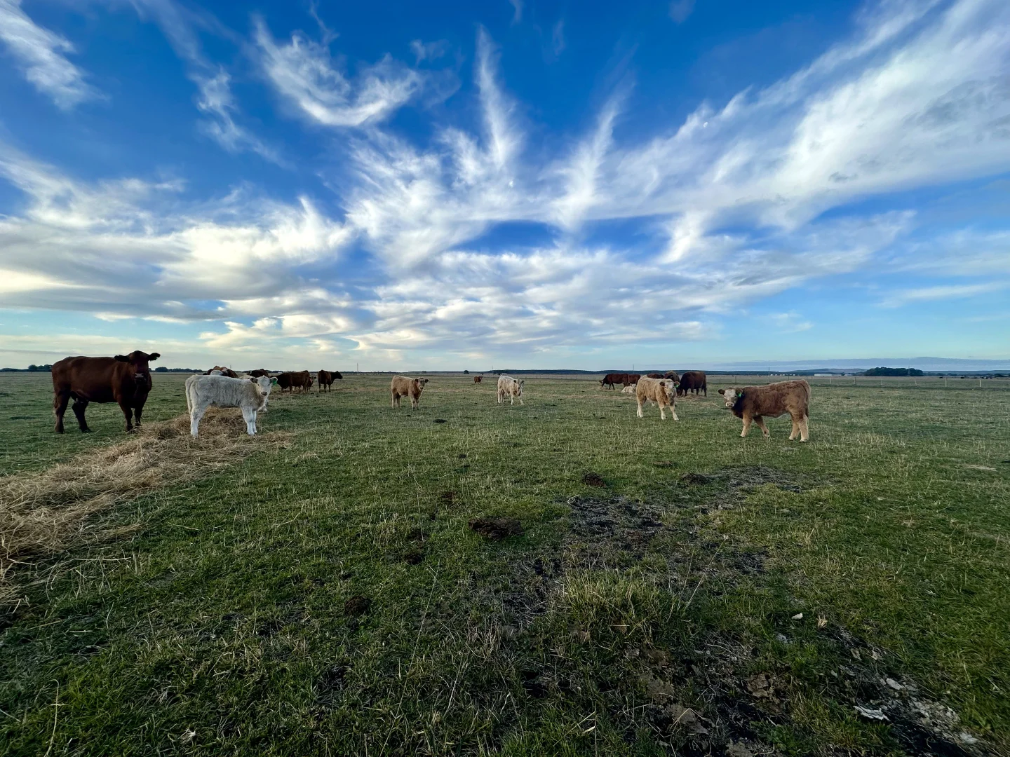 Additional image 16 of 1, Lot 417 & 429 Sebastopol Springs Rd, Sebastopol SA 5280