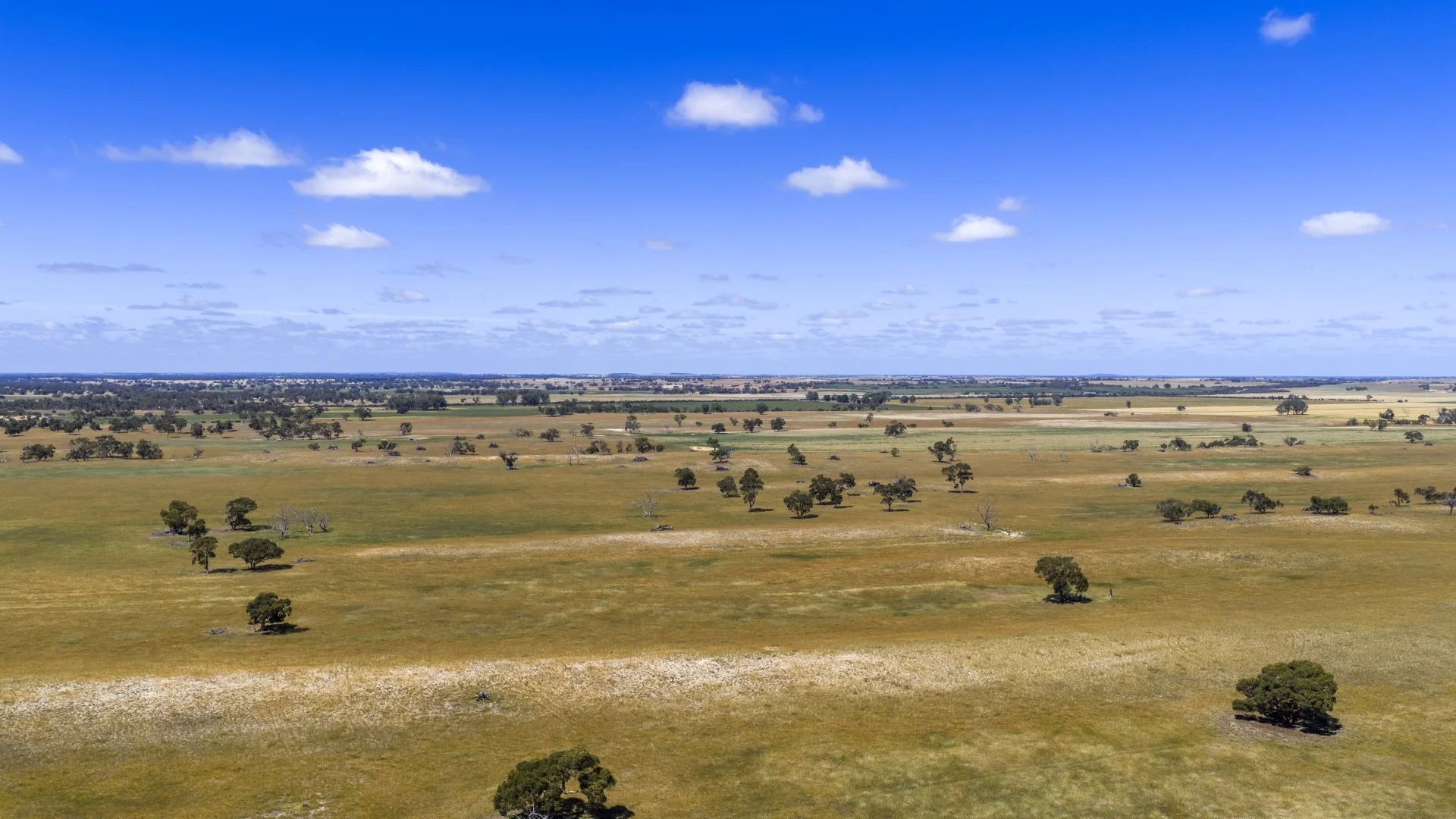 Additional image 21 of 1695 Emu Flat Road, Sherwood SA 5267