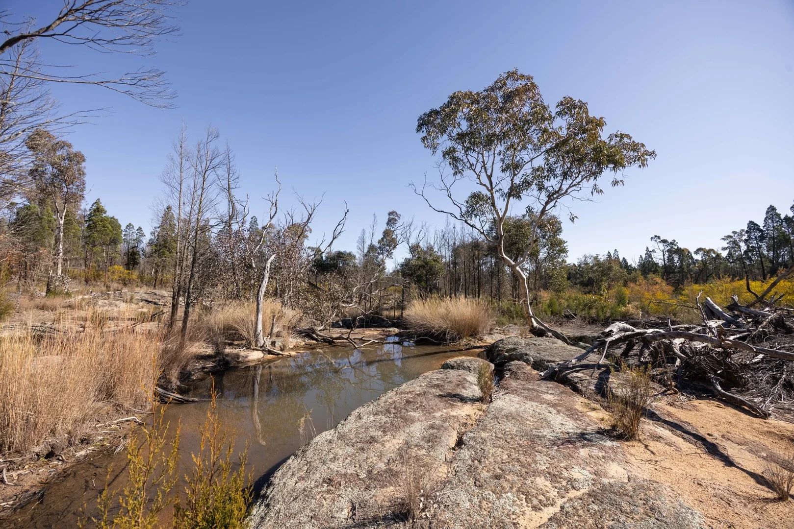 250 Springwood Park Road, Gulgong NSW 2852