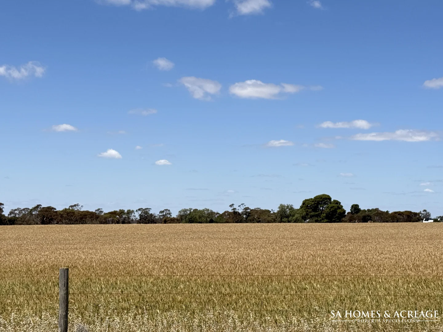 Additional image 5 of Section 407 & 408 Hills Road, Robertstown SA 5381