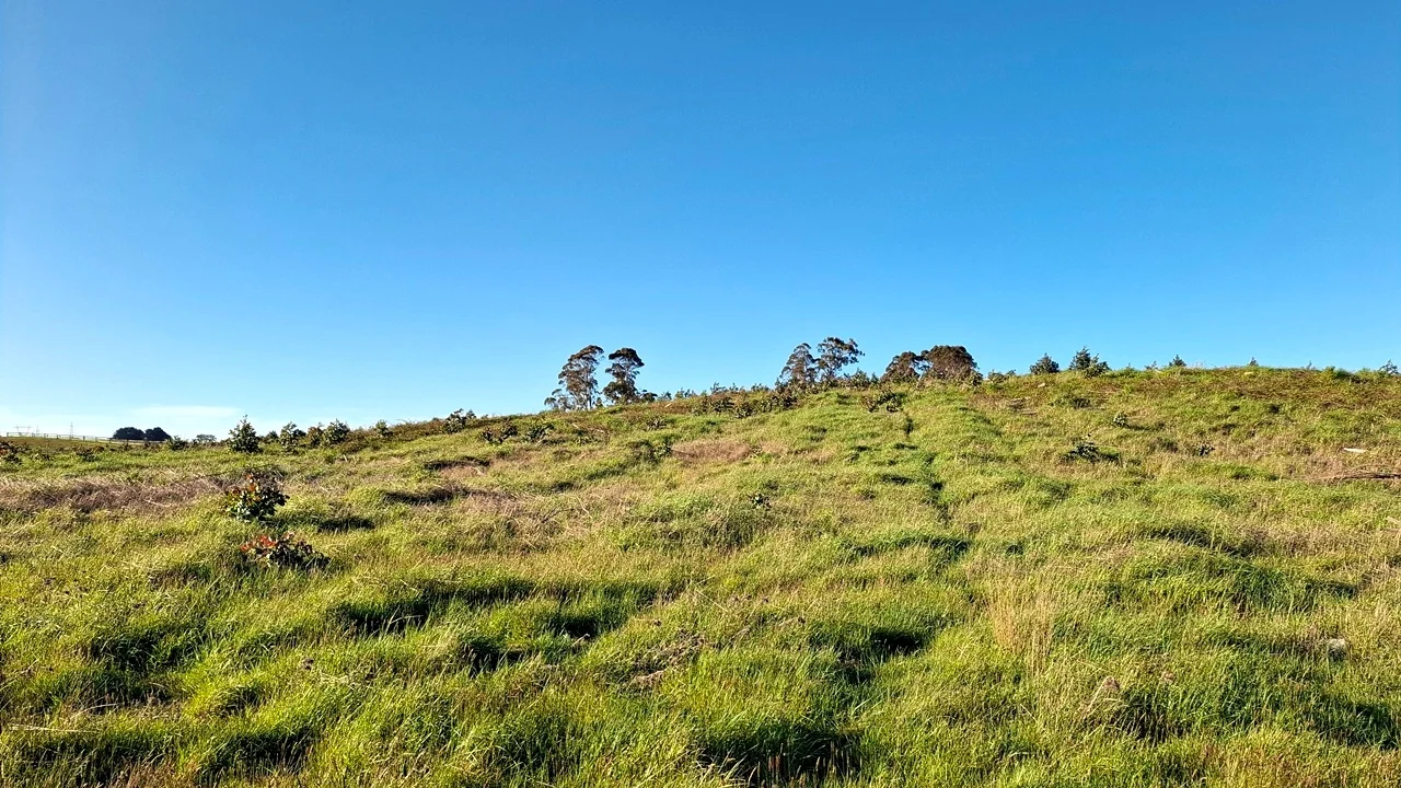 Additional image 30 of 108 Weeks Road, Barrington TAS 7306