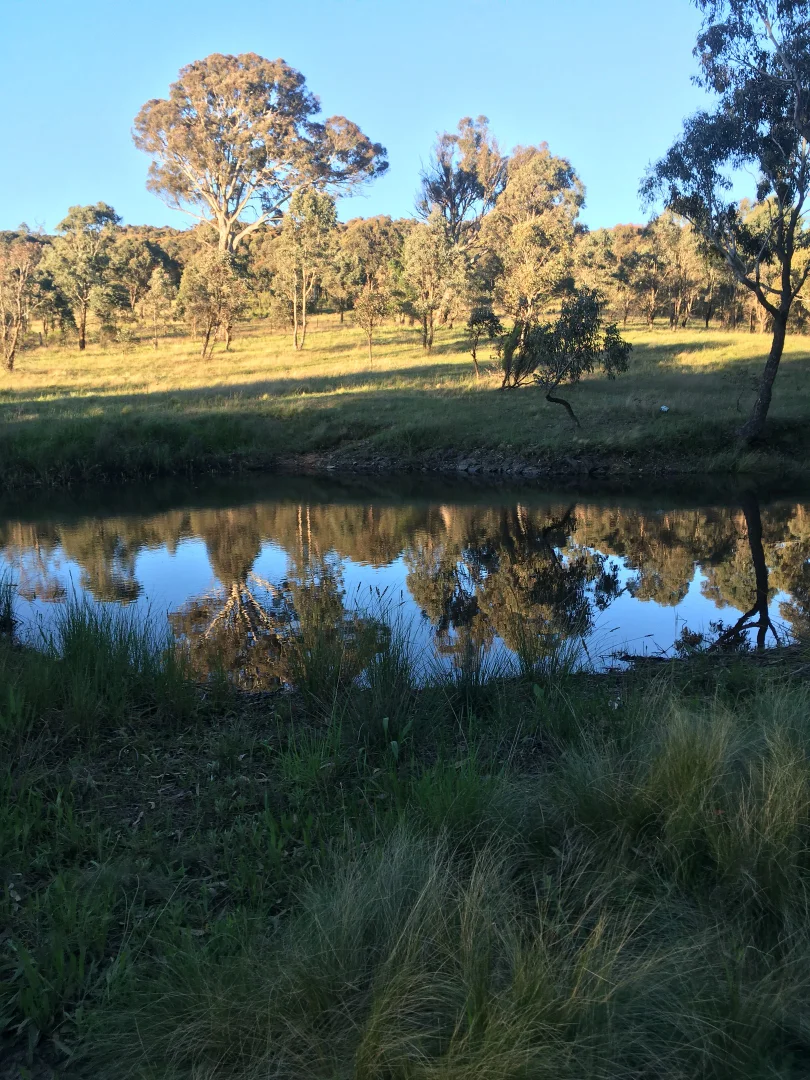 Additional image 17 of 560 Collector Road, Gunning NSW 2581