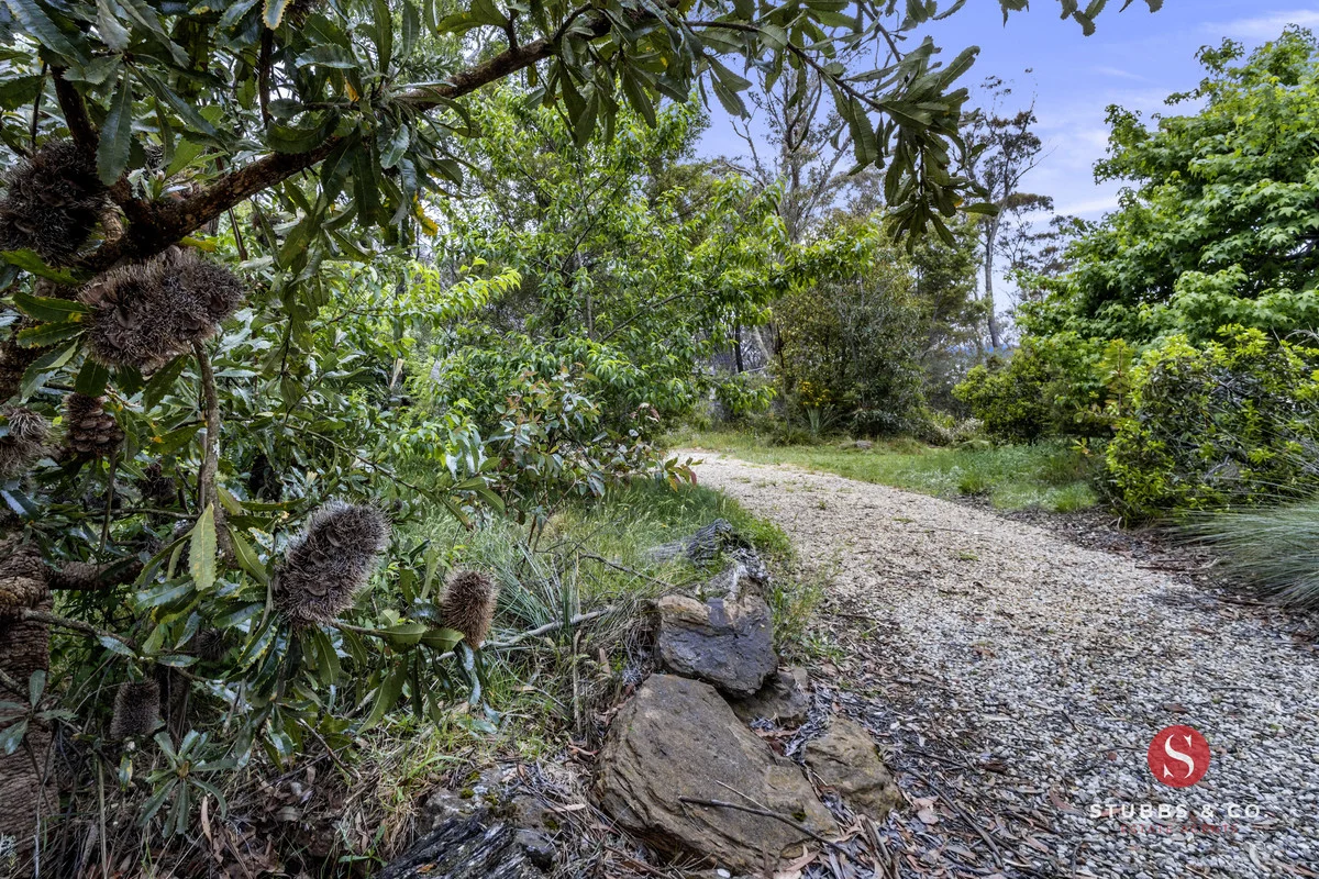 Additional image 2 of 67 Hillview Road, Katoomba NSW 2780