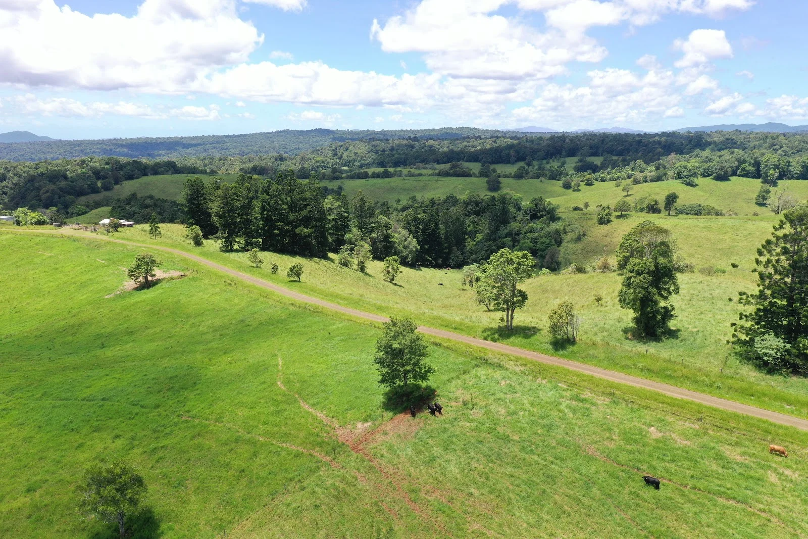 Additional image 10 of 780 MIDDLEBROOK ROAD, Millaa Millaa QLD 4886