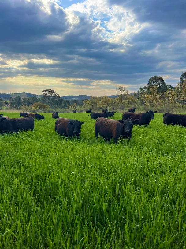 Additional image 3 of 318 Belgravia Road, Orange NSW 2800