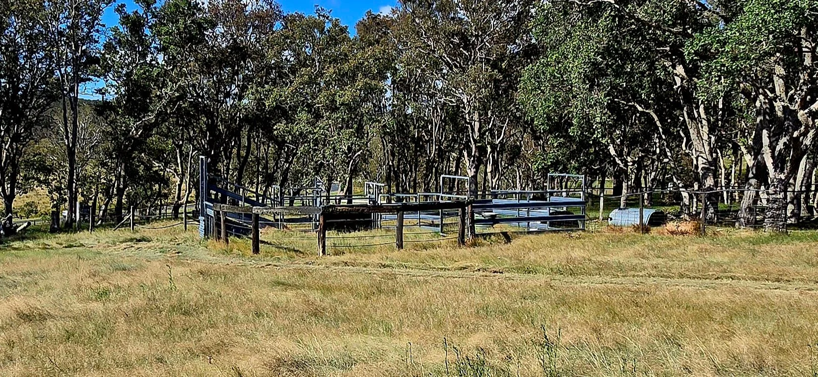 Additional image 18 of 1191 Black Swamp Road, Tenterfield NSW 2372