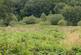 Additional image 9 of Teifi Valley, Close to Llandysul and Newcastle Emlyn
