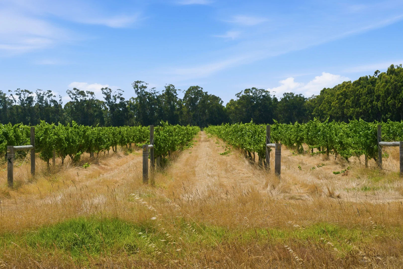 Additional image 12 of 26/3599 Caves Road, Wilyabrup WA 6280