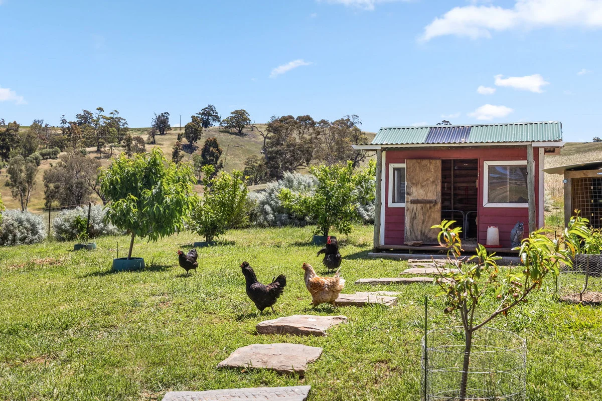 Additional image 44 of 156 Woodlands Road, Cockatoo Valley SA 5351