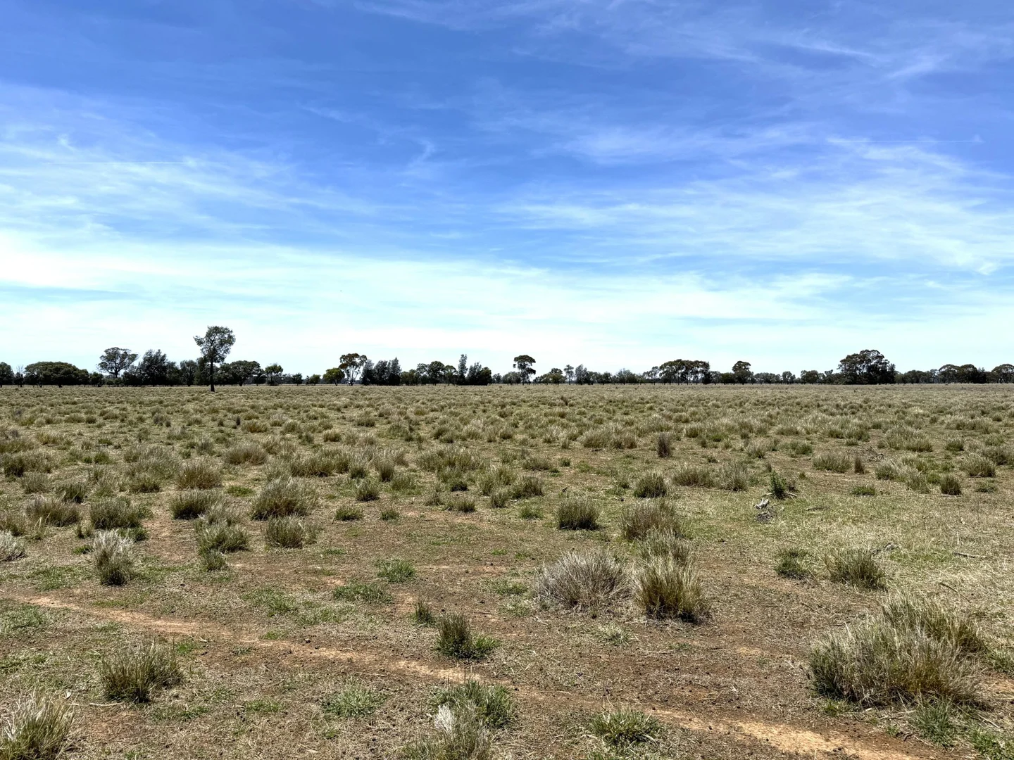 Additional image 14 of 1539 Bland Road, Quandialla NSW 2721