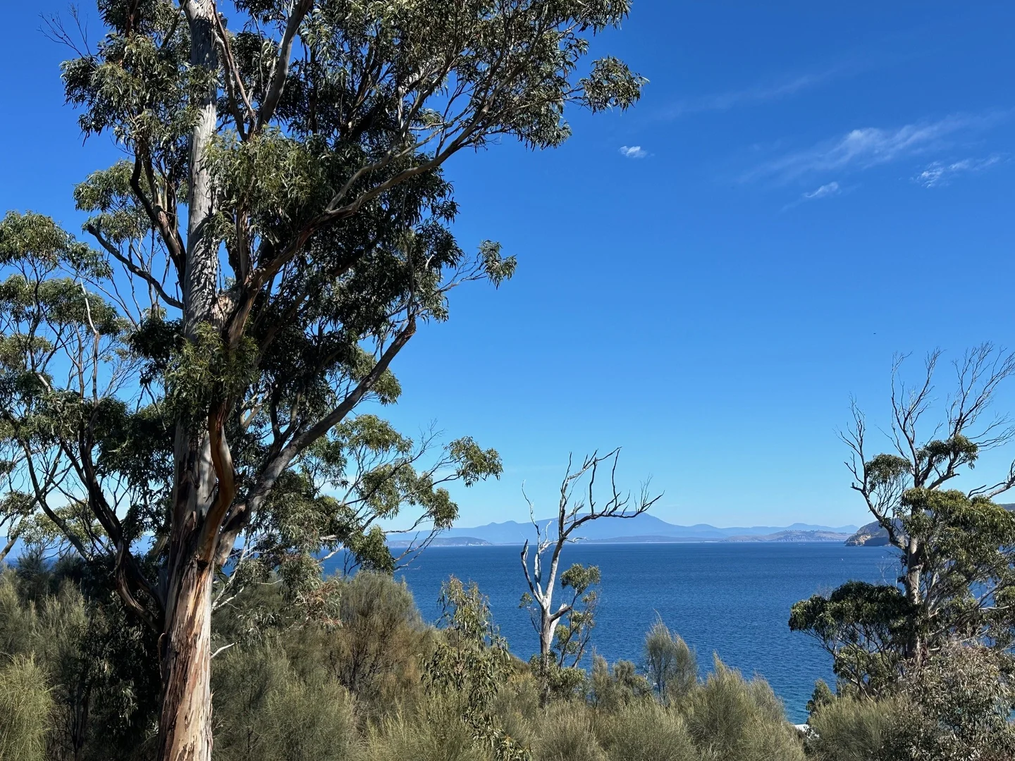 Additional image 22 of 613 White Beach Road, White Beach TAS 7184