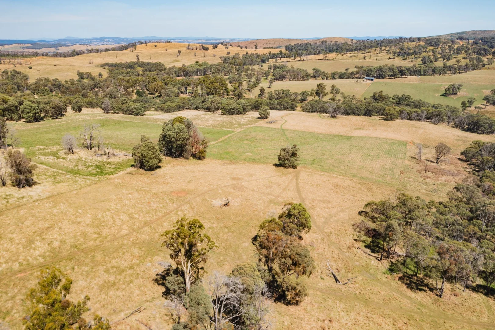 Additional image 8 of 1 Willigobung Road, Tumbarumba NSW 2653