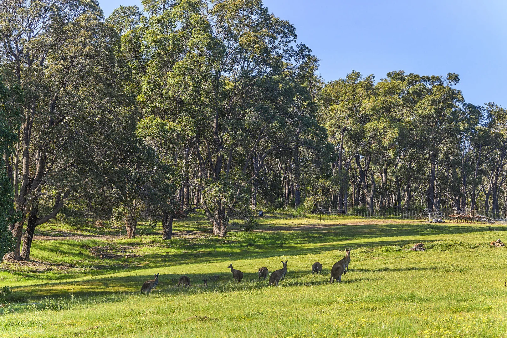 Additional image 36 of Guernsey Rise, Lower Chittering WA 6084