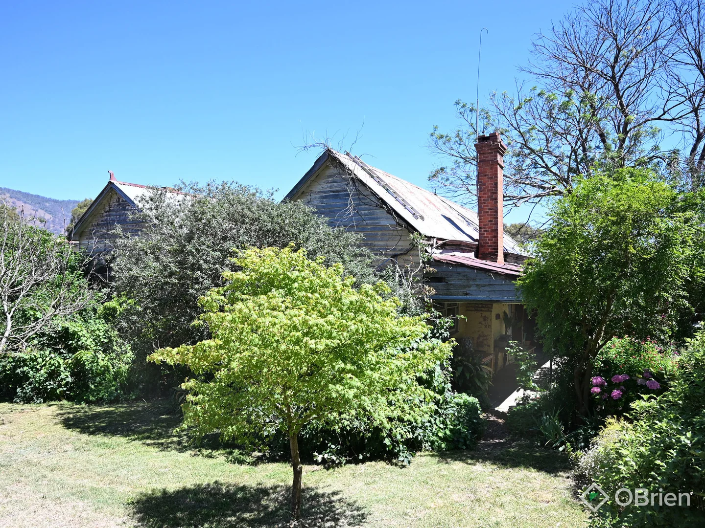 Additional image 7 of 208 Swifts Creek East Road, Doctors Flat VIC 3895