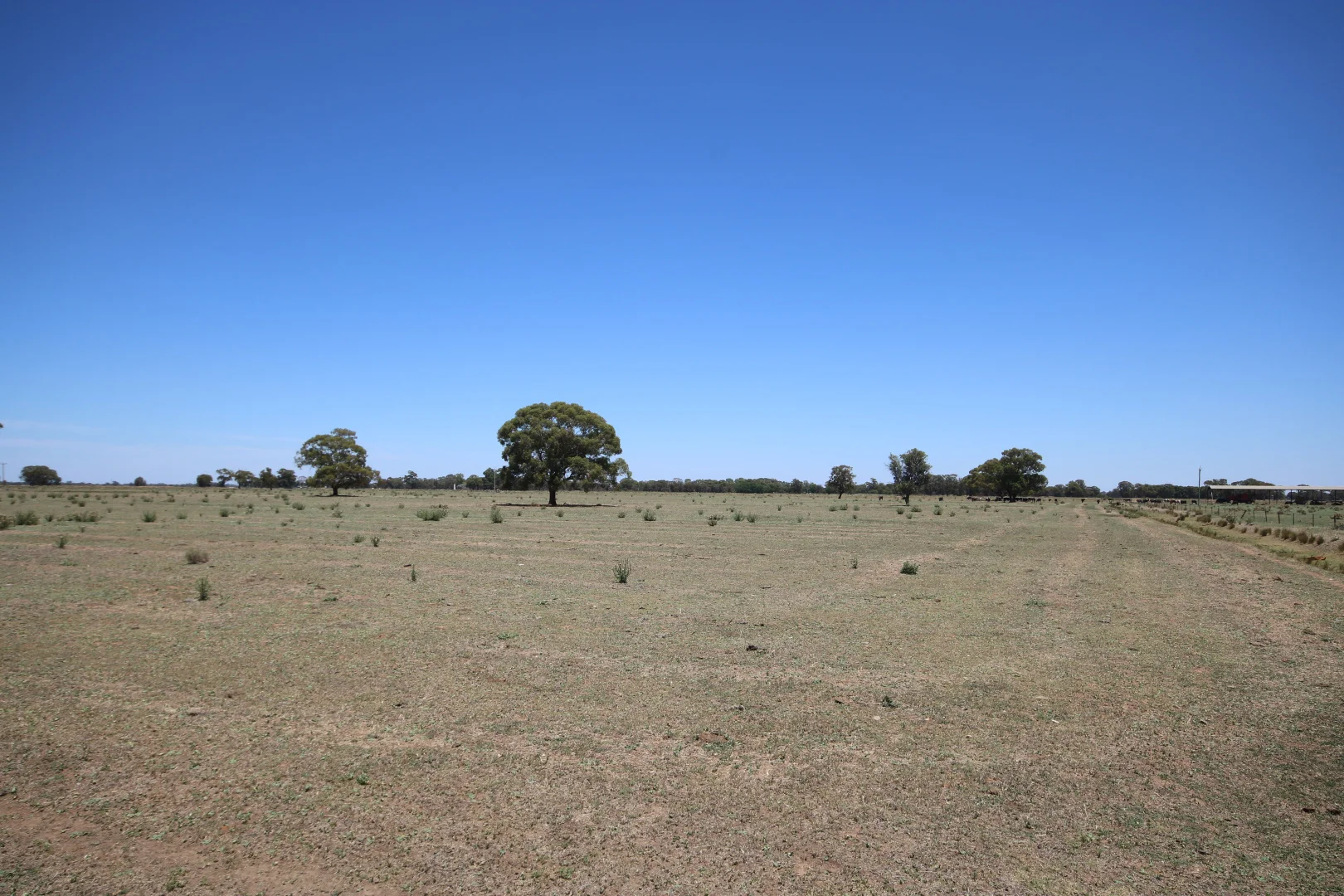 Additional image 24 of 614 Nullabooma Road, Wakool NSW 2710