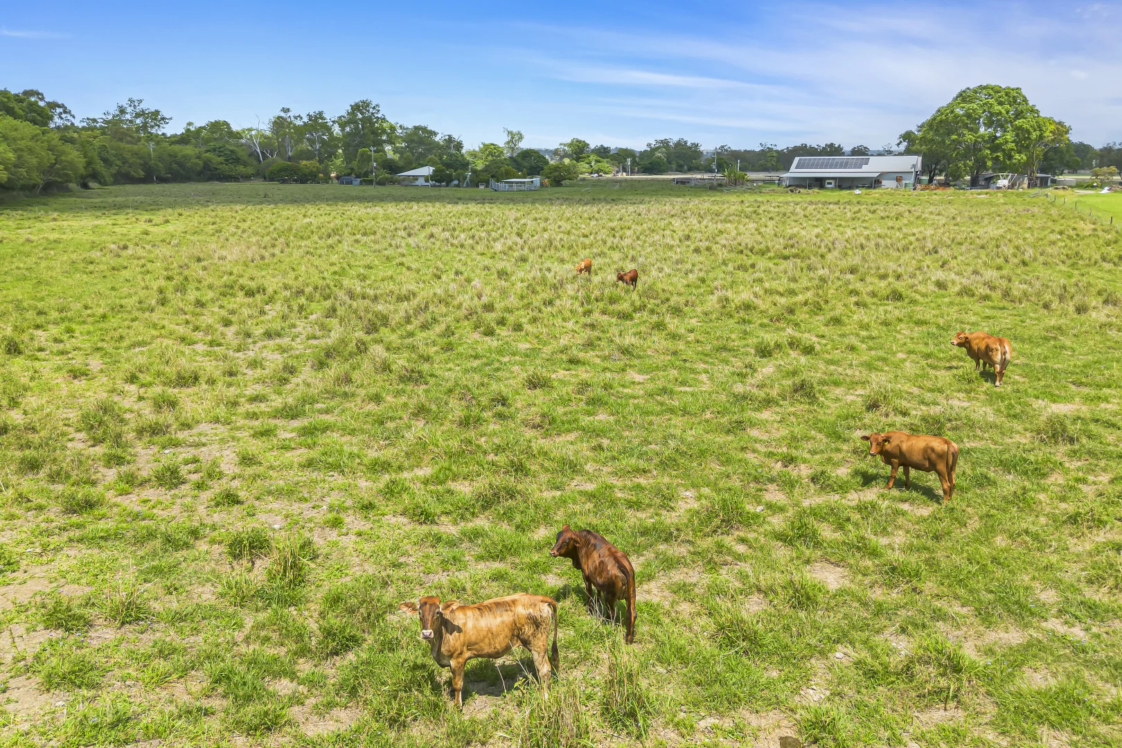 Additional image 13 of 392 Fairy Bower Road, Gracemere QLD 4702