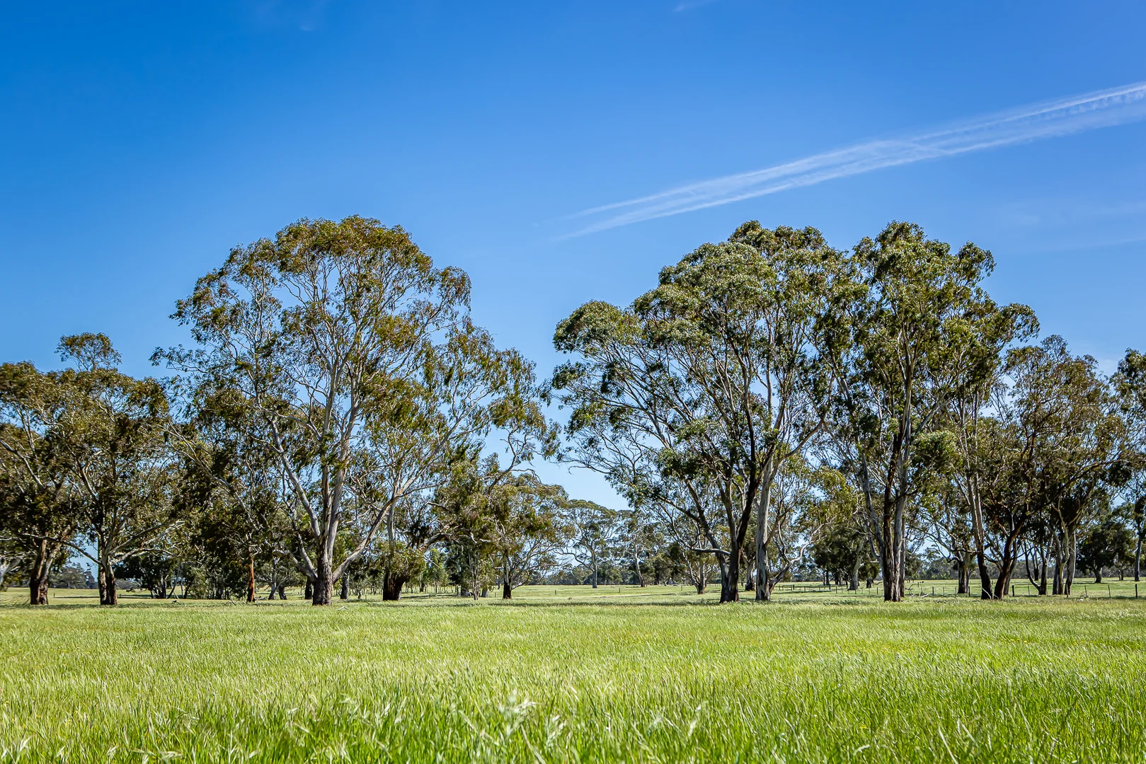 Additional image 6 of 520 Walkington Hills Road, Bangham SA 5268
