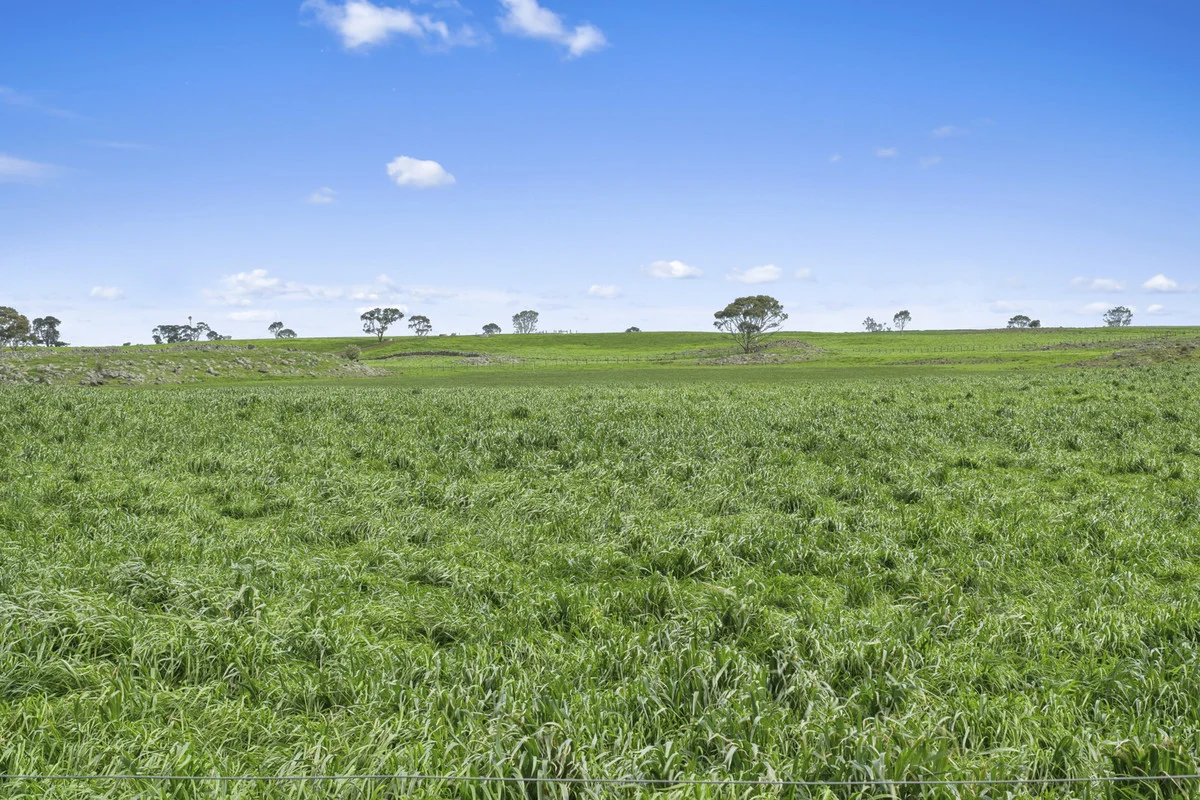 Additional image 10 of 280 Ondit-Warrion Road, Ondit VIC 3249