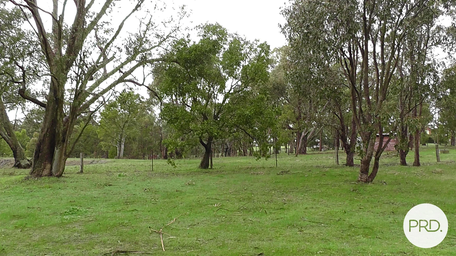 Additional image 6 of Lot 6 Eucalyptus Drive, Invermay VIC 3352