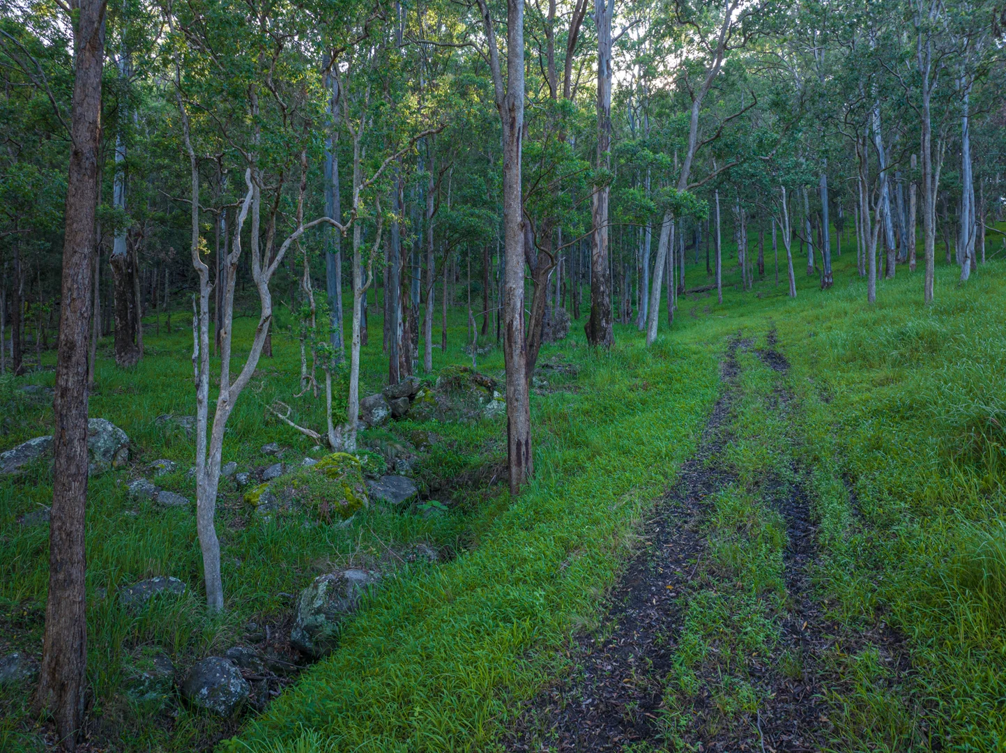 Additional image 11 of 2298 Nimbin Road, Nimbin NSW 2480