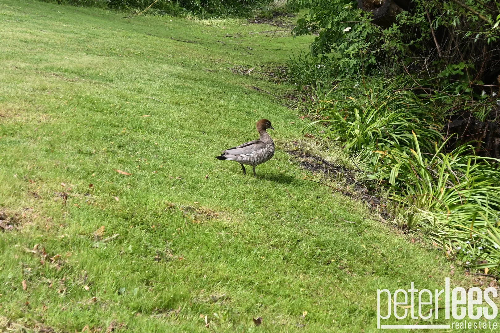 Additional image 35 of 12 Main Road, Lanena TAS 7275