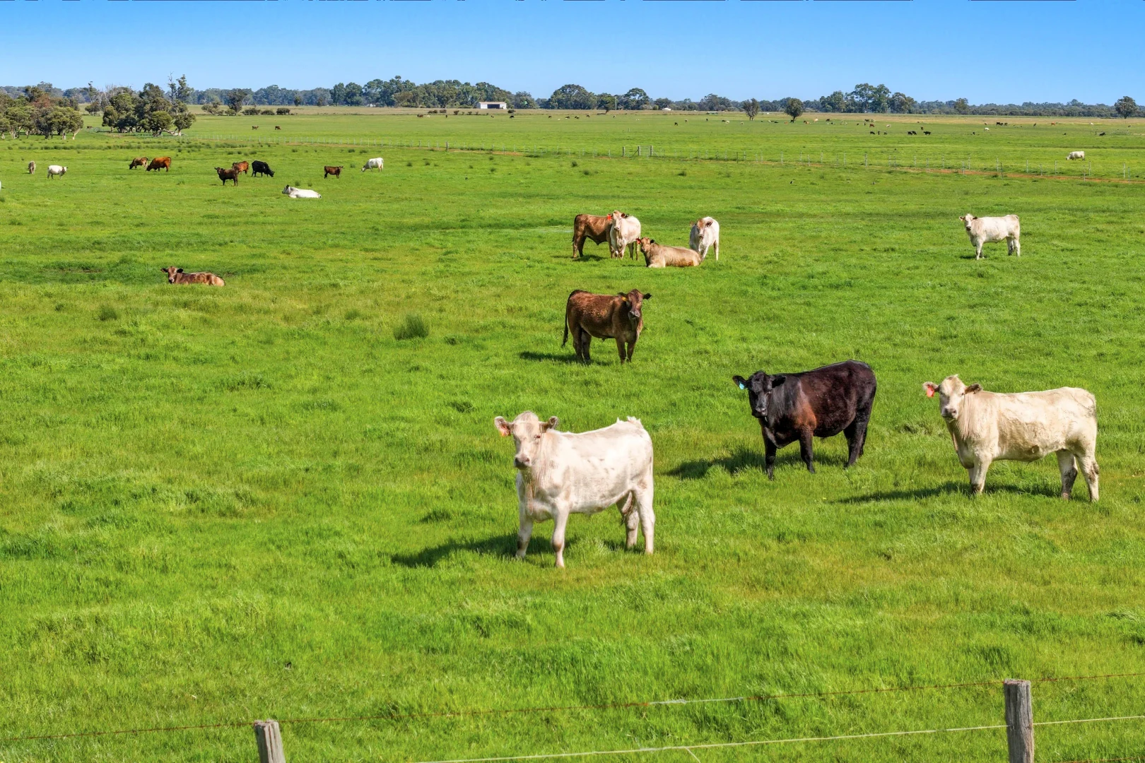 Additional image 4 of Dowdells Line, Paradise WA 6236