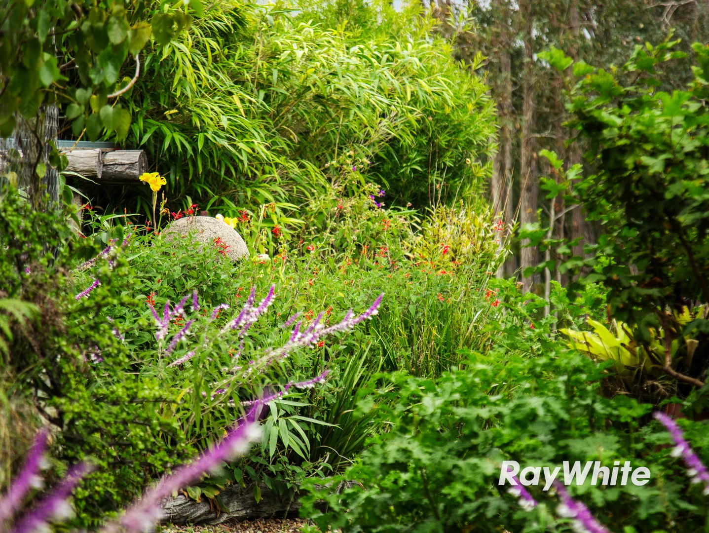 Additional image 54 of 1103 Congo Road, Meringo NSW 2537