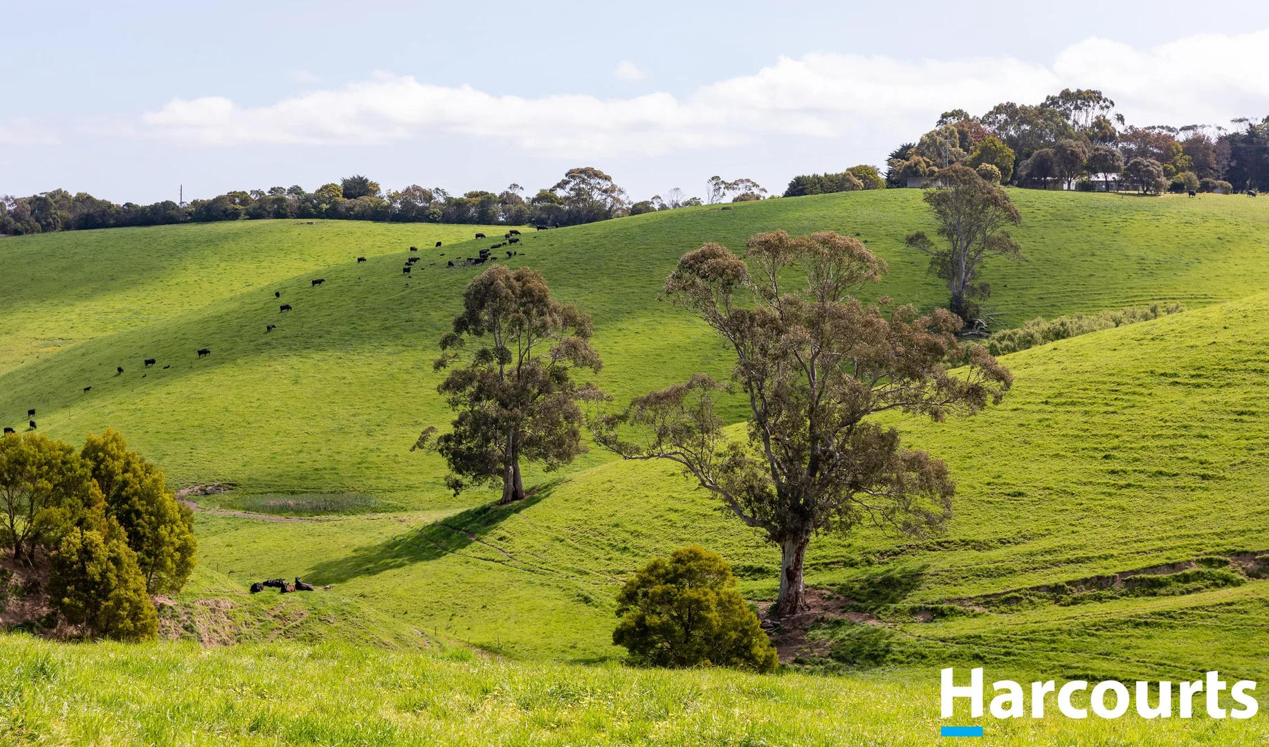 Additional image 23 of 715 Falls Road, Fish Creek VIC 3959