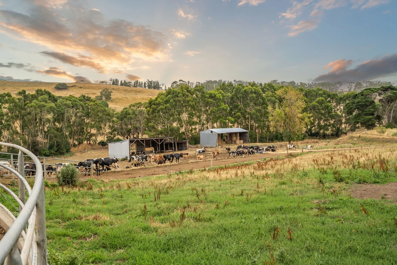 Additional image 23 of 170 Cobden Port Campbell Road, Scotts Creek VIC 3267