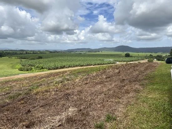 Additional image 21 of 125 Utchee Creek Road, Mena Creek QLD 4871